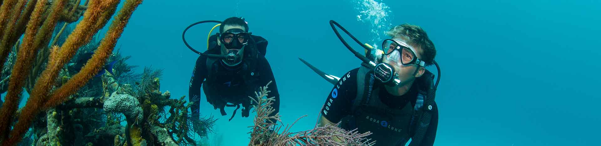 cours professionnel PADI divemaster Phuket