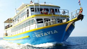 Oktavia liveaboard