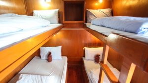 Quad share cabin