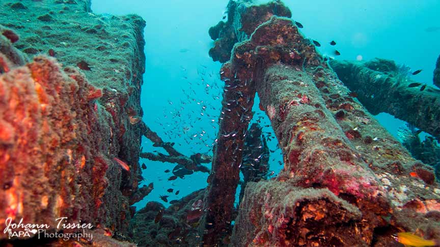 wreck diving phuket