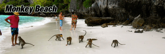 Monkey beach phiphi